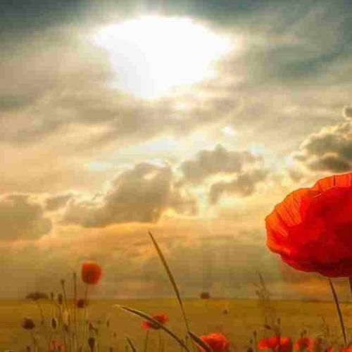 دانلود آهنگ چقدر گفتم فقط با من بمون کاش واقعی بود