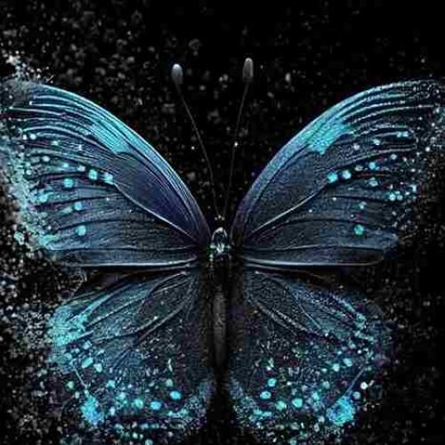 دانلود آهنگ اغنیة ضبي صدرج طالع نصو مطلوبة 