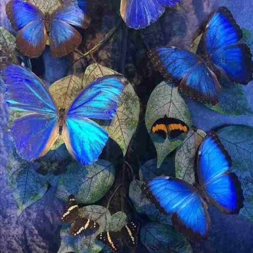 دانلود آهنگ مگه نمیگفتی اشتباه میکنی تو رفتی ولی هنو 