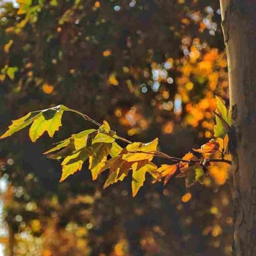 دانلود آهنگ اشک ریختم رو خاک روحم دیدم حالم گله