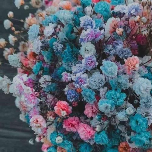 دانلود آهنگ دوست داشتمو دارم توی عمر دوبارم بخوای یا نخوای با صدای بچه