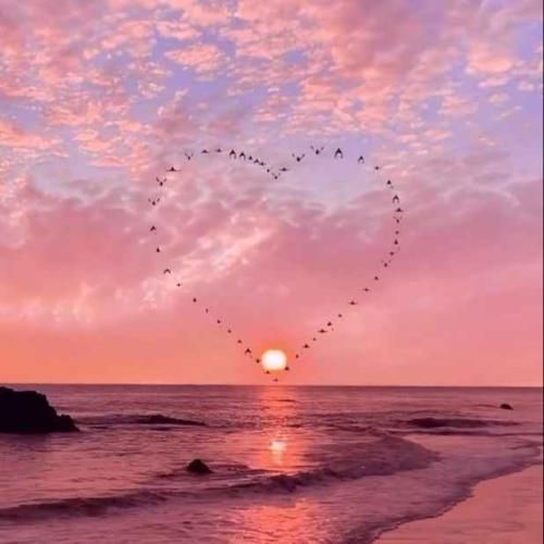 دانلود آهنگ میبرمت بالا آ سیصد و هشتاد چمدون پُر باز 