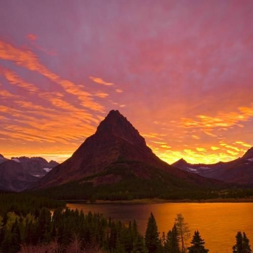 دانلود آهنگ تو خونم میره زهره ماری من که پایت بودم حتی کله خالی