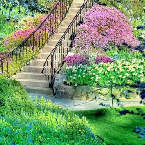 دانلود آهنگ نمیدونم شدم دیوونه چیت آخرشم میکنی یه رو بهم چی 