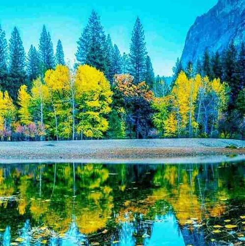 دانلود آهنگ چالش اینستا تیک تاک بنام سوسن خانوم