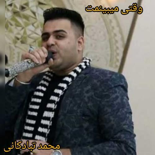 دانلود آهنگ وقتی میبینمت محمد تبادکانی