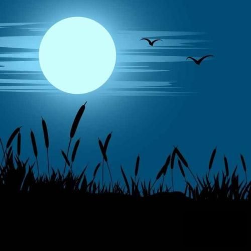 دانلود آهنگ آره آره اجازه دادی و راضی بودی باهات بازی کنن دوباره 