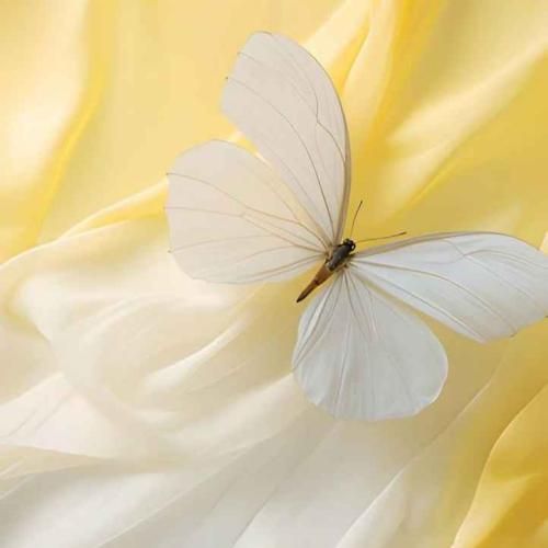 دانلود آهنگ برام فرستاد یه قلب بنفش شاید میخواد اون بذاره 