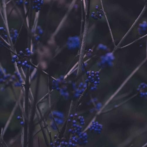 دانلود آهنگ چرا همه میمیرن میشن عزیز تو به خودت باختی صد هیچ