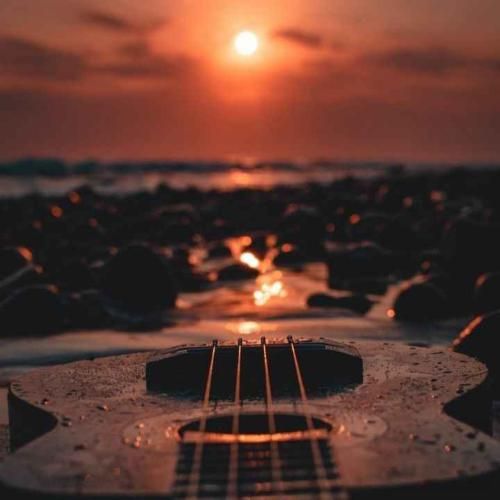 دانلود آهنگ الان روی هر دو دستم هست زخمام همچی عوض شده یا اینکه