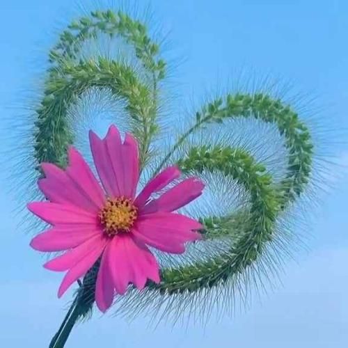 دانلود آهنگ صدای تروریست تصویر قاصدک های خاورمیانه 