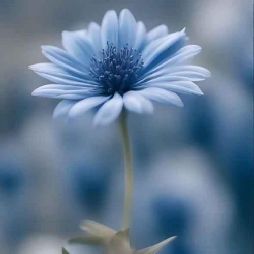 دانلود آهنگ بابا عیب نیستا بالا پایین همه دارن منم به روزایی