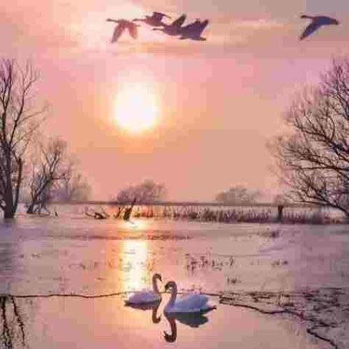 دانلود آهنگ دوست دارم عاشقونه صدات کنم با صدای بچه