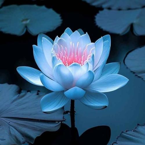 دانلود آهنگ ماه تو بغلمه تا وقتی چشماتو دارم