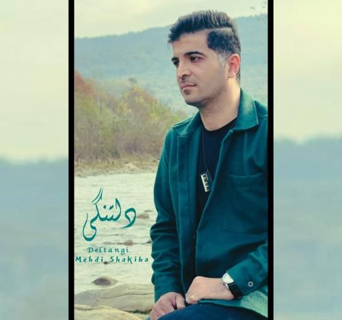 دانلود آهنگ دلتنگی مهدی شکیبا