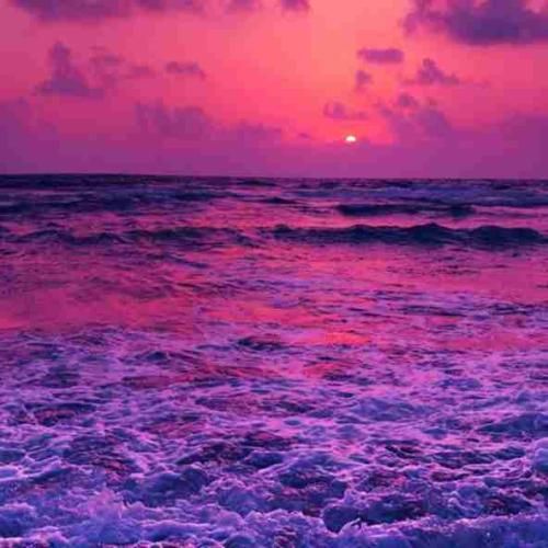 دانلود آهنگ رخی به ما بنما که می بینیمت انگاری خورشید تابیده