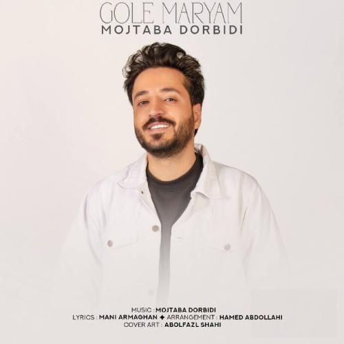 دانلود آهنگ گل مریم مجتبی دربیدی