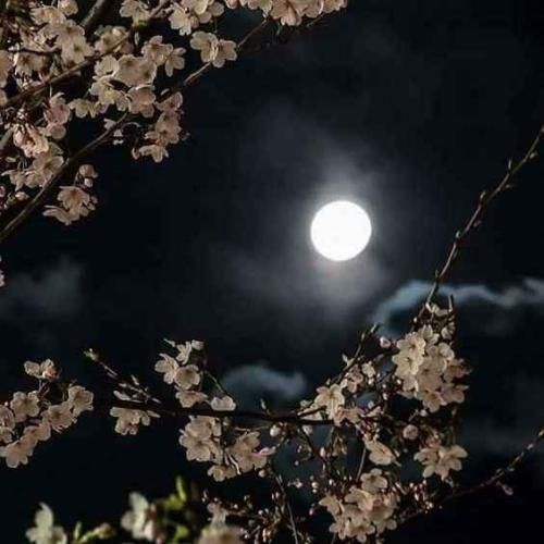 دانلود آهنگ واقعا خوب باش وانمود نکن که تو بهتر