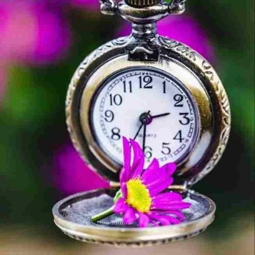 دانلود آهنگ آقای قاضی منم گول چشاشو خوردم واسش میمردم