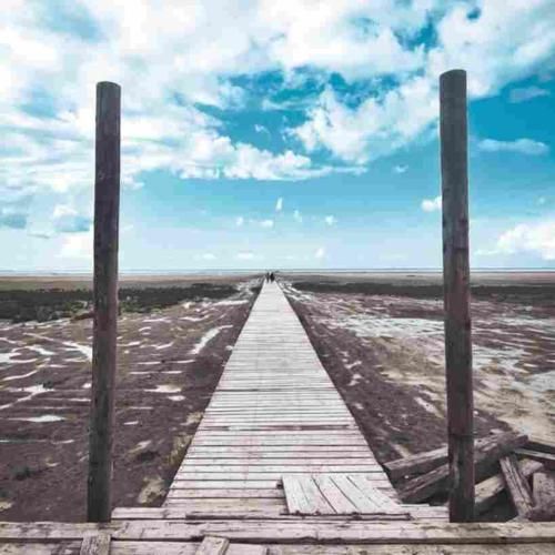 دانلود آهنگ حالا فهمیدی عین ما برات خوب نبود