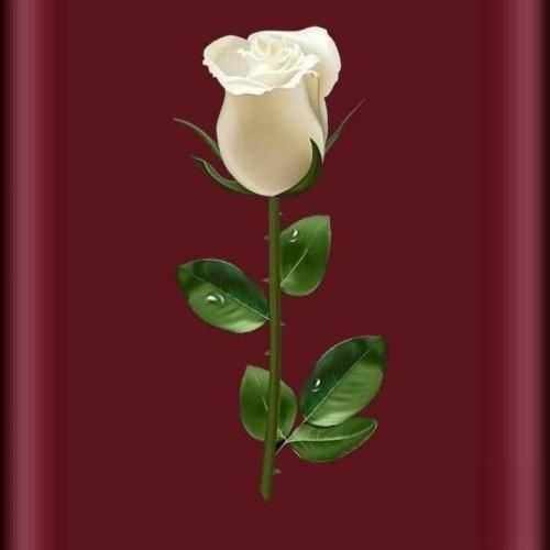 دانلود آهنگ لری پرونده دست قاضی میگن که شاکی نازیه 