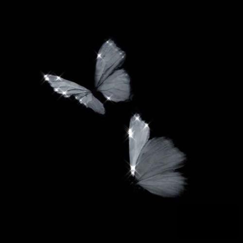 دانلود آهنگ همون بهتر که بری اگه باز میخواد خبرت از هرجا بیاد