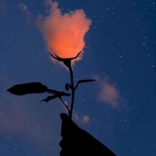 دانلود آهنگ بیقرارم ای نگارم تو کجایی خبر ندارم پرسه های بی امانم در خیابان 