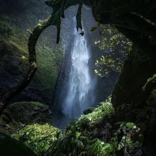 دانلود آهنگ ای هلاکم و آخر هلاکم کردی فاطمه عطایی