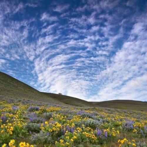 دانلود آهنگ نمیترسم از آیندم مسیر تو رو باید رفت