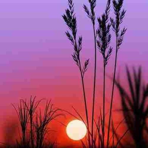 دانلود آهنگ مجوزمو خیابون داده نه یه کت شلواری پشت میز 