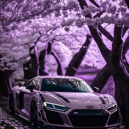 دانلود آهنگ دلبری دل میبری برای ما زبای میته پری