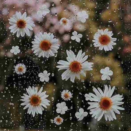 دانلود آهنگ بمیرم من واسه اون دل شکسته با صدای زن