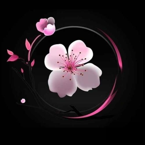 دانلود آهنگ تو موسیقی انقلاب کردی چرا تو اصن هیچی حالیت