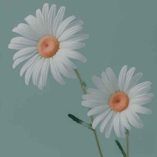 دانلود آهنگ امروز مثل روز قبل بعد کار ناخواسته زدم تو بندر 