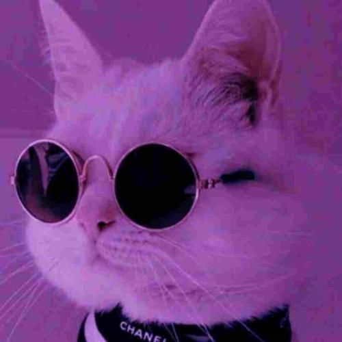 دانلود آهنگ به مادرم بگین چشم به راه نباشه