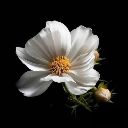 دانلود آهنگ یه روز پر انگیزم یه روز از قلبم میزنه حسم