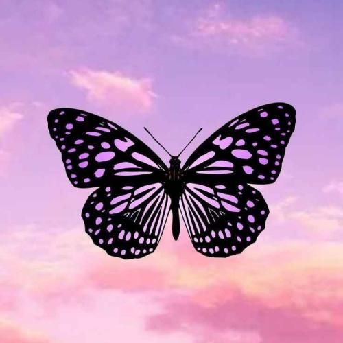 دانلود آهنگ سویله بیر گون هرشی چوک گوزل اولاجاک