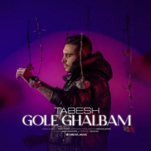 دانلود آهنگ گل قلبم تابش