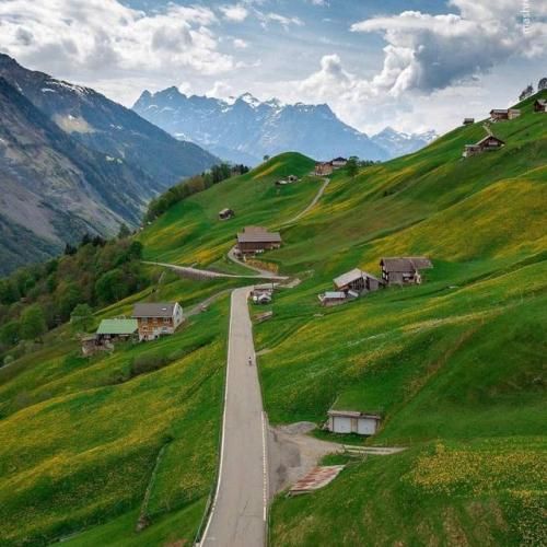 دانلود آهنگ جدی می فرمایید ورژن اینستایی