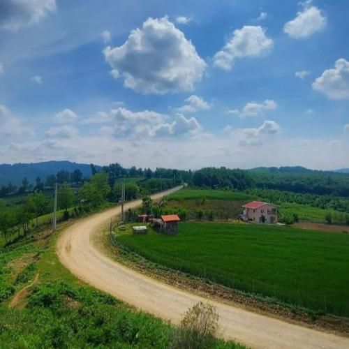 دانلود آهنگ بیبی تتو زده روی سینش دیدمش وقتی که تاپشو میکند