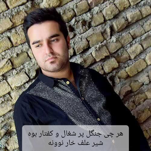 دانلود آهنگ هر چی جنگل پر شغال و کفتار بوه شیر علف خار نوونه احمد نیکزاد