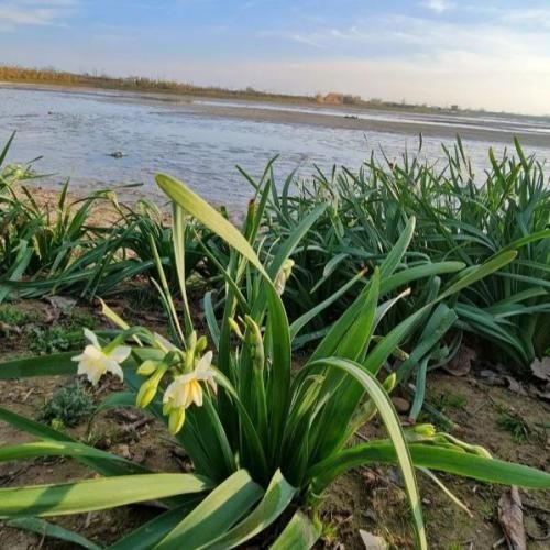 دانلود آهنگ شبا تا صبح بیدارم میخونم از عشق تو 