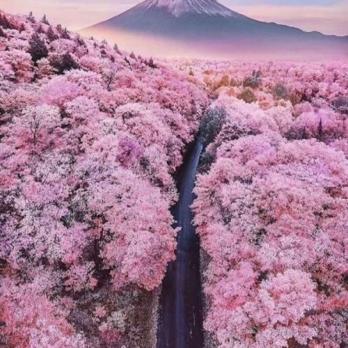 دانلود آهنگ بدم اومده از همه از اون که بهم دروغ میگه 