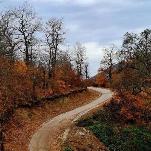 دانلود آهنگ انرژی بده لطفا تا باشی محکم هیترا زر مفتن 