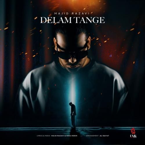 دانلود آهنگ دلم تنگه مجید رضوی