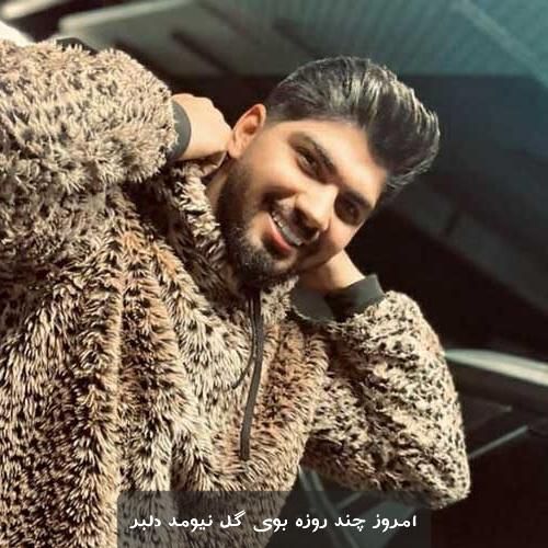 دانلود آهنگ امروز چند روزه بوی گل نیومد دلبر امیر فضلی