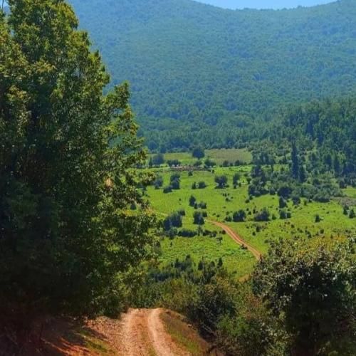 دانلود آهنگ از عشق بگو دنیا