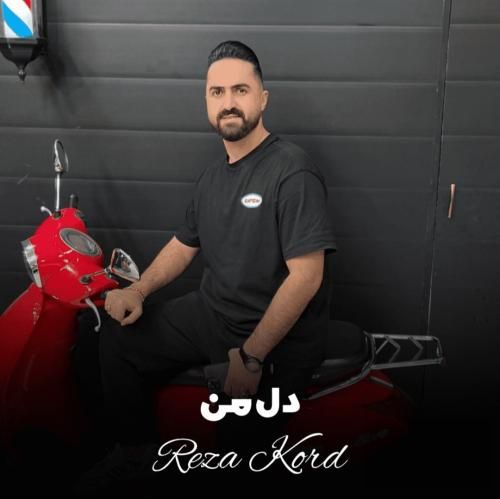 دانلود آهنگ دل من رضا کرد