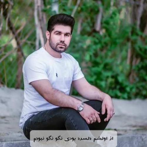 دانلود آهنگ از اولشم دلسرد بودی نگو نگو نبودم یوسف جمالی