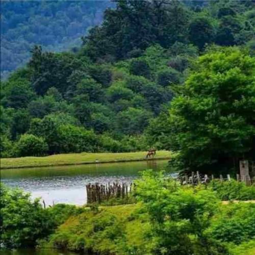 دانلود آهنگ نداره عیب دارم برات آره دارم برات 